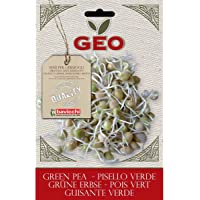 Geo Guisante Semillas para germinar- Marrón- 12.7x0.7x20 cm